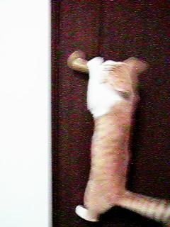 �h�A���J���悤�Ƃ��Ă���Ƃ���