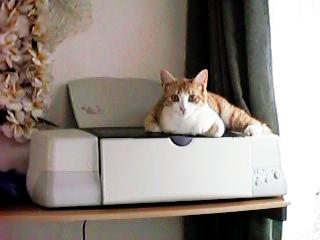 �v�����^�[�̏�ɍ���A���[