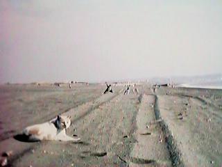 ������̊C�݂ŁA�V�������