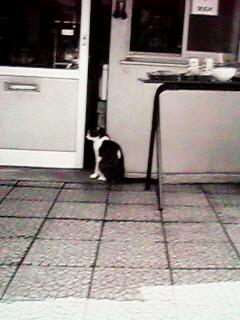 �������̔L