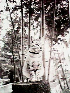 �|�т̃~�[�����