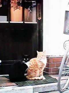 �z�n�̃u�e�B�b�N�̗����ɍ���L