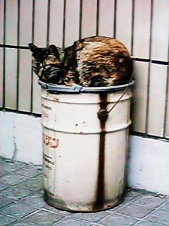 �ʂ̏�Ŗ���L