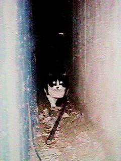 ����̃r���̌��Ԃɂ����L