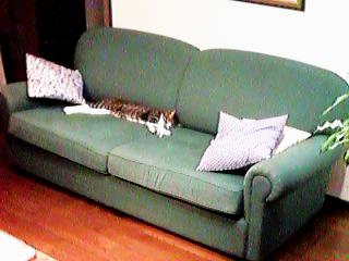 �\�t�@���̂��ĐQ��~�b�N