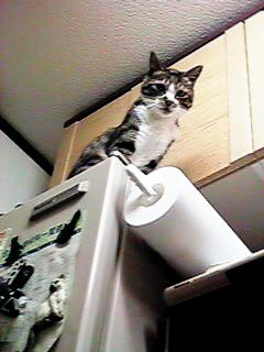 �①�ɂ̏�̃~�b�N