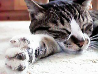 �������薰��~�b�N