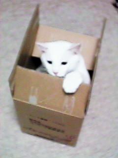 ���������o���g�g