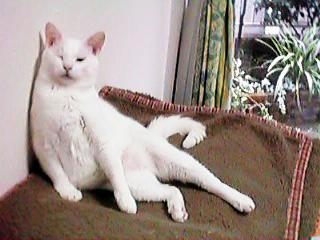 �������g�g